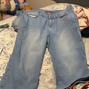 TORRID: Capris